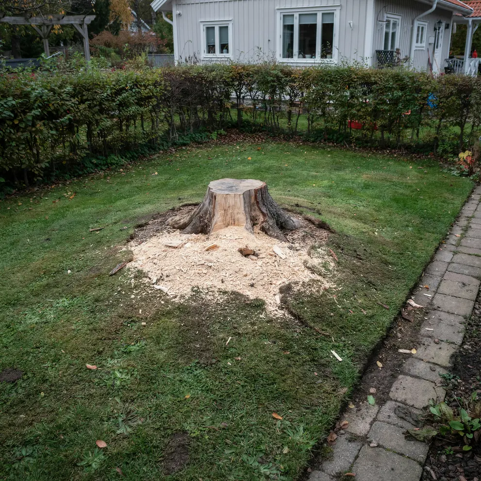 stubbfrasning malmo